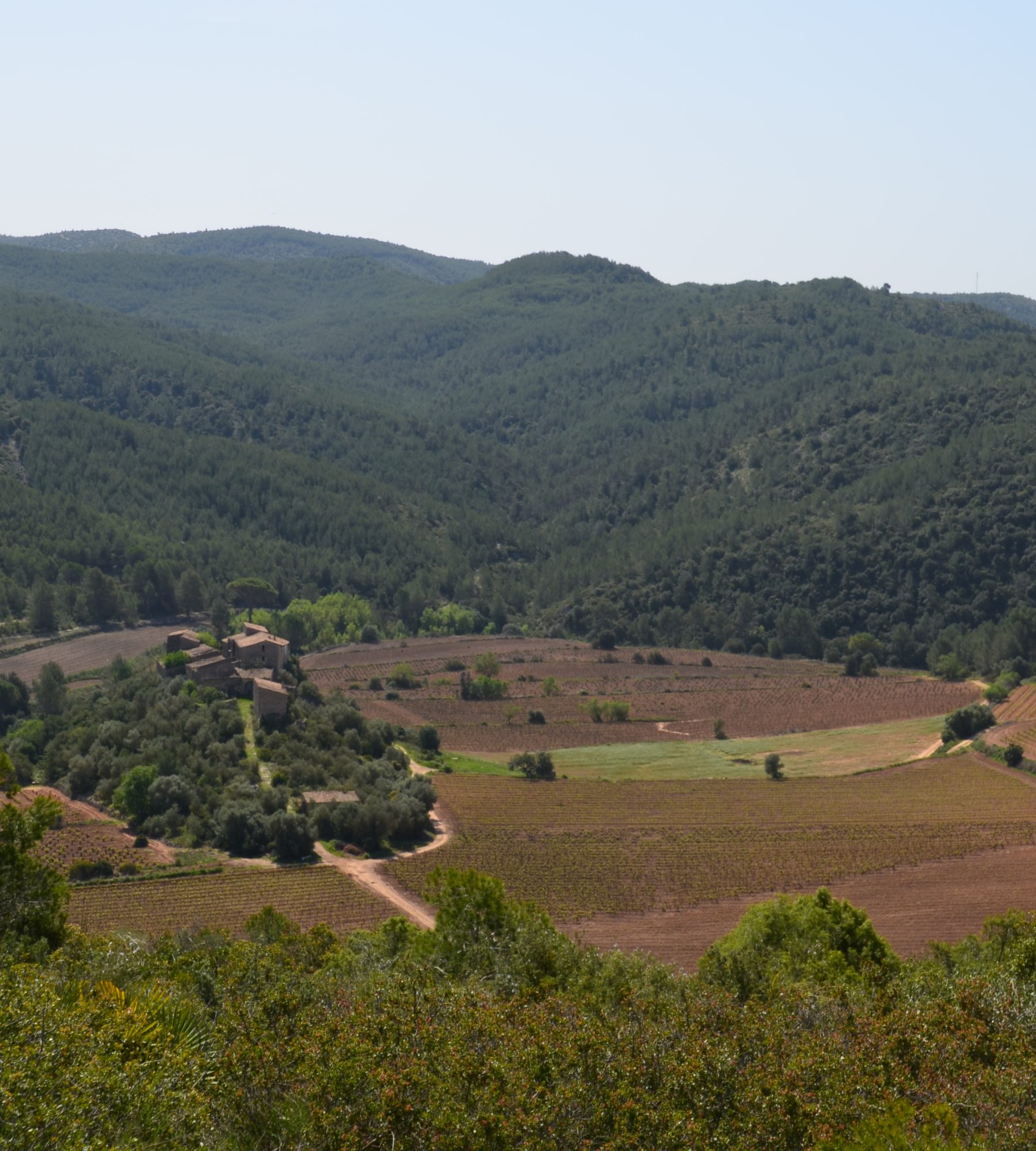 Avinyonet
